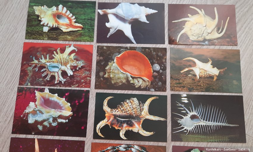 Карманные календарики. Часть первая