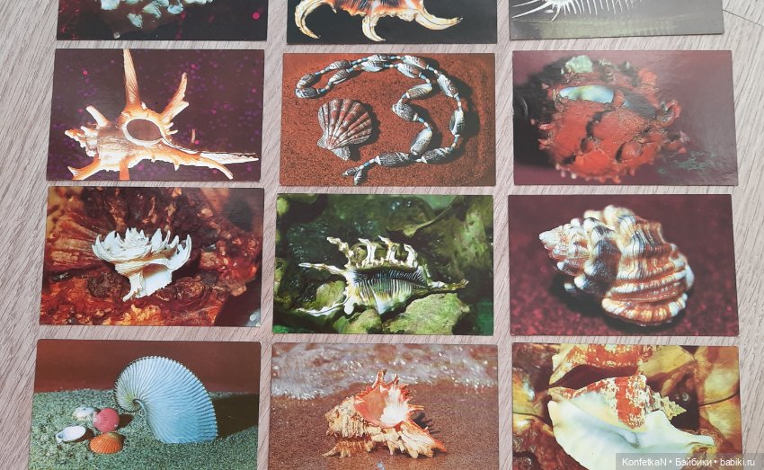 Карманные календарики. Часть первая