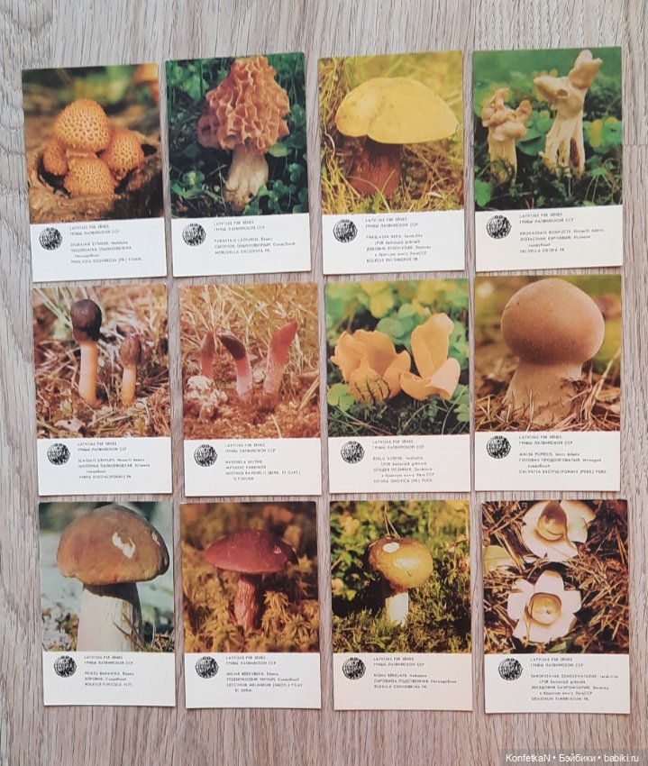 Карманные календарики. Часть первая