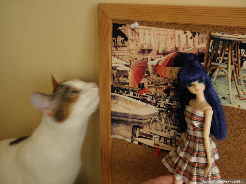 J-Doll и кото-облако — Куклы J (фото 8)