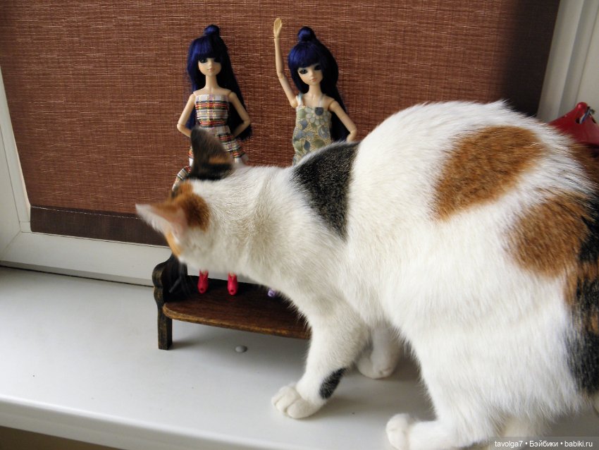 J-Doll и кото-облако — Куклы J (фото 2)