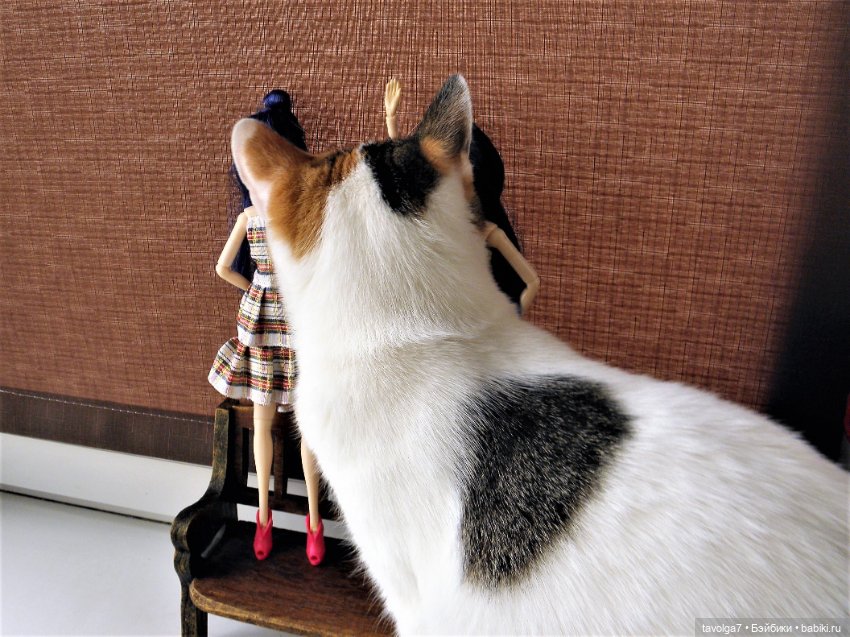 J-Doll и кото-облако — Куклы J (фото 3)