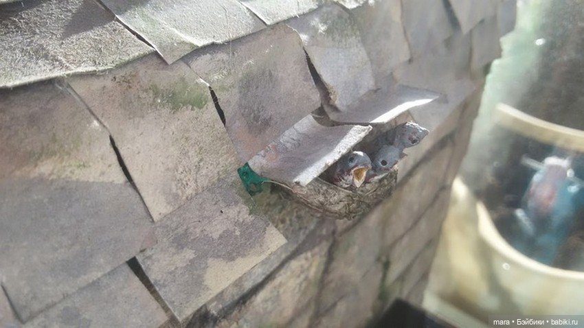 Cказочная миниатюрная хижина Хагрида, автор Галина Чиркова (фото 5)