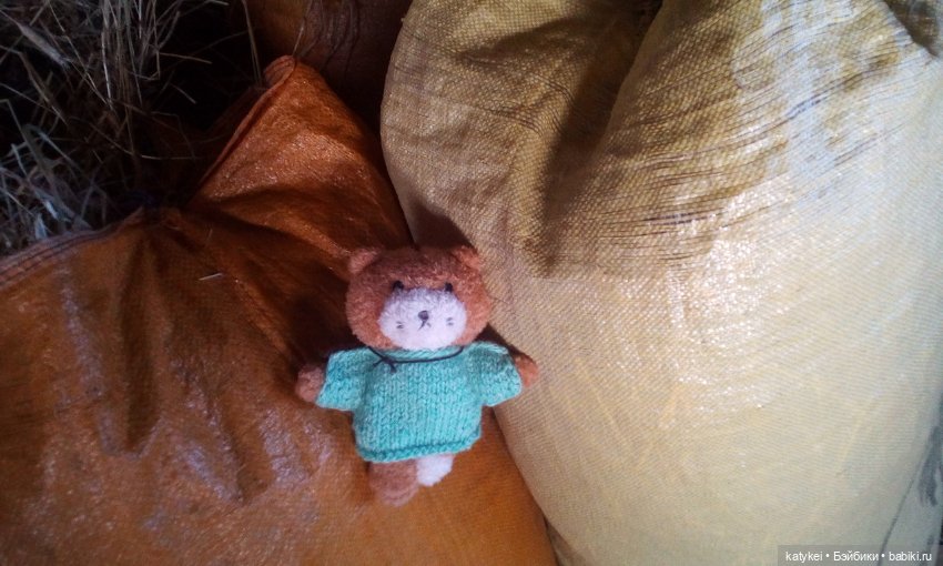 Джи, сено и новая модель свитера (опрос)