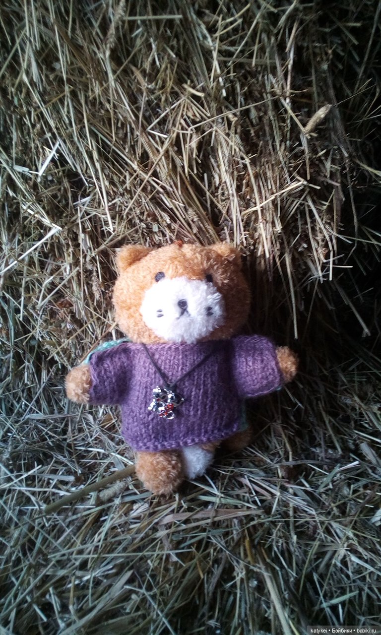 Джи, сено и новая модель свитера (опрос)