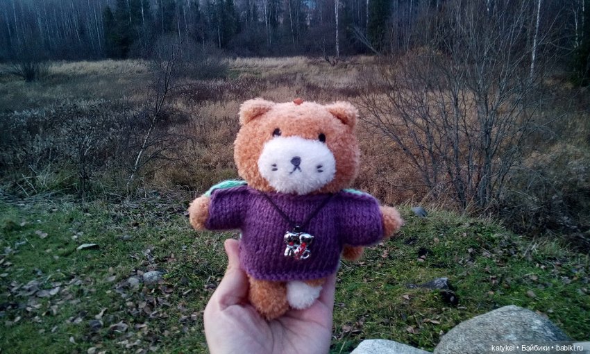 Джи, сено и новая модель свитера (опрос) (фото 9)