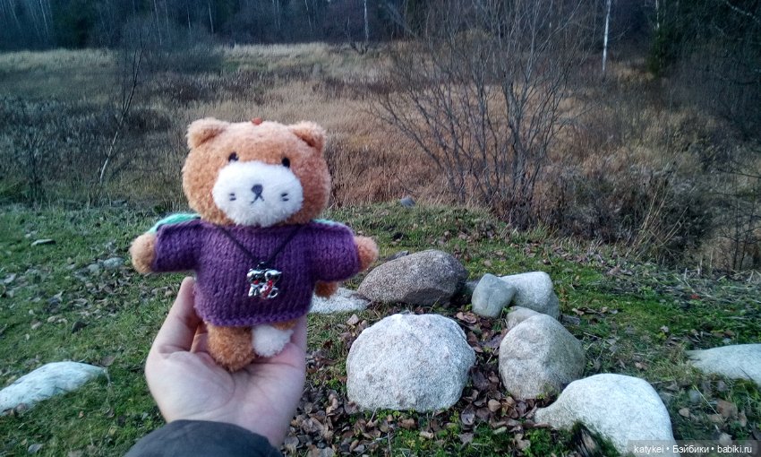 Джи, сено и новая модель свитера (опрос) (фото 8)