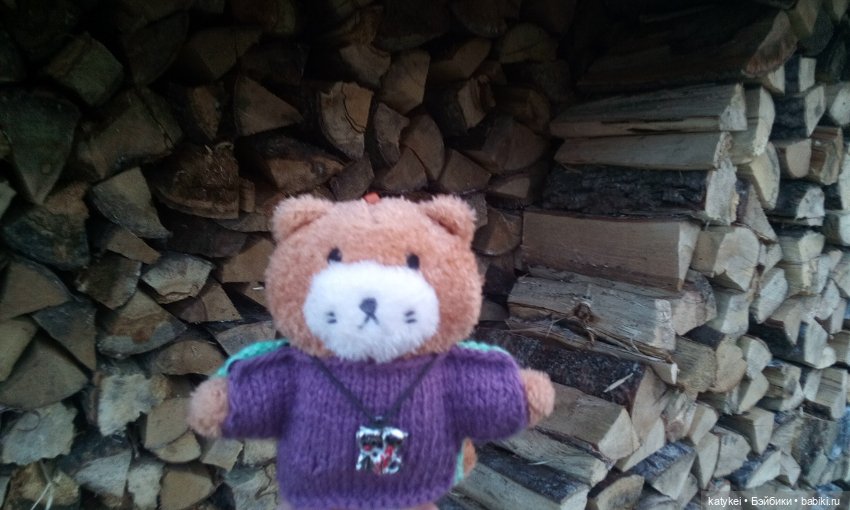 Джи, сено и новая модель свитера (опрос) (фото 4)