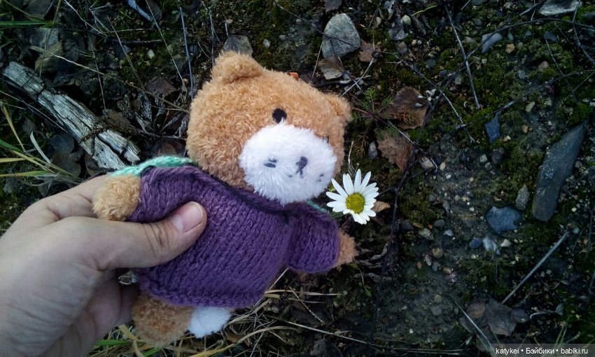 Джи, сено и новая модель свитера (опрос) (фото 3)