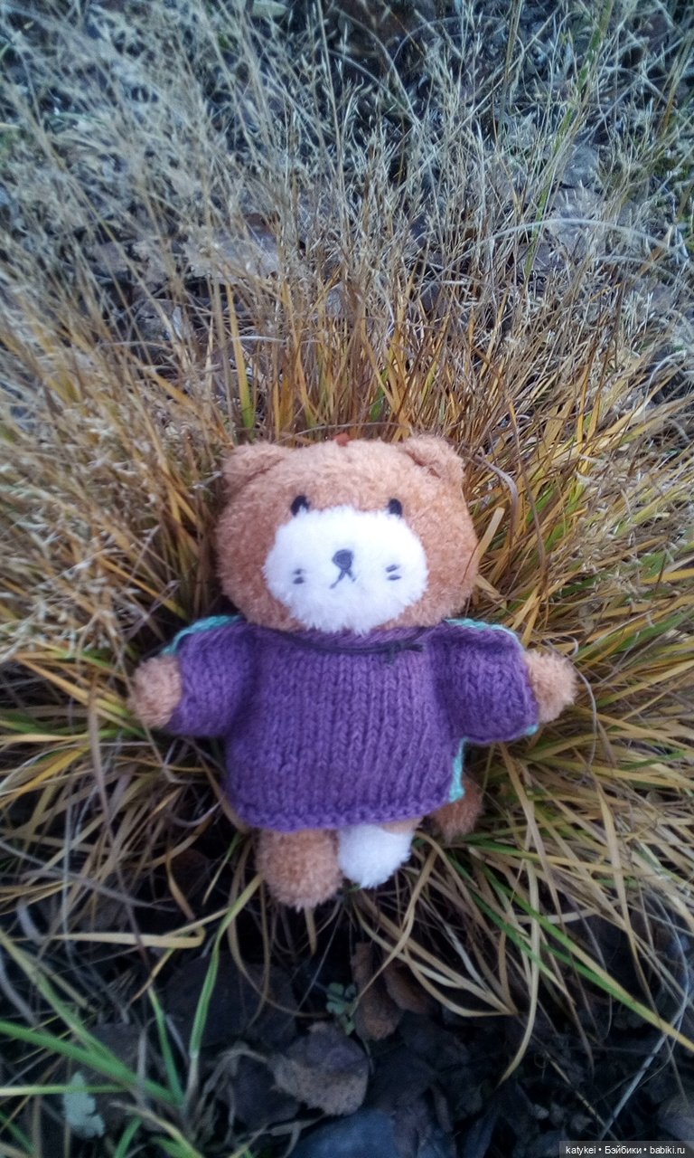 Джи, сено и новая модель свитера (опрос)