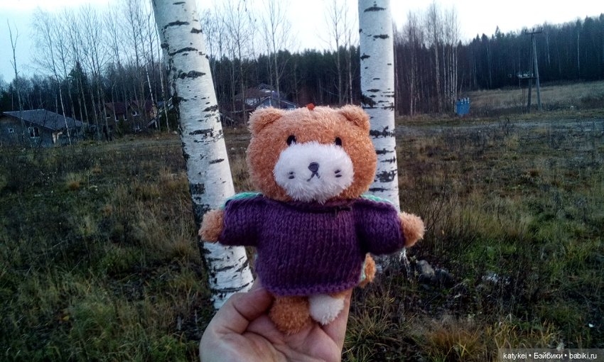 Джи, сено и новая модель свитера (опрос)