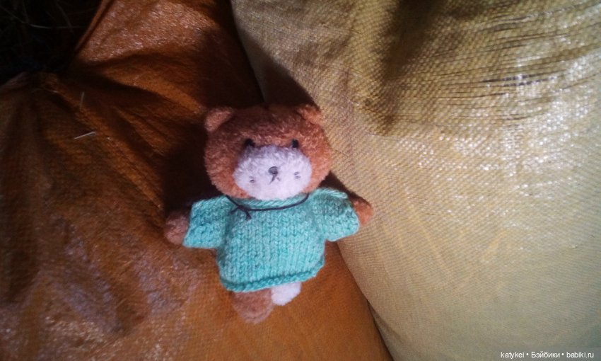 Джи, сено и новая модель свитера (опрос)