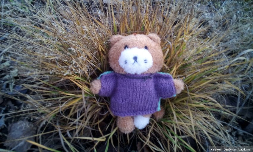 Джи, сено и новая модель свитера (опрос) (фото 10)