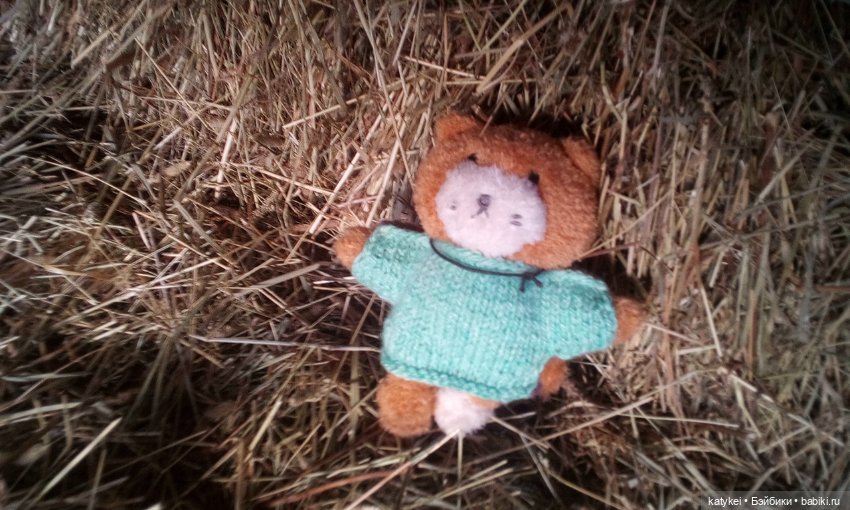 Джи, сено и новая модель свитера (опрос)