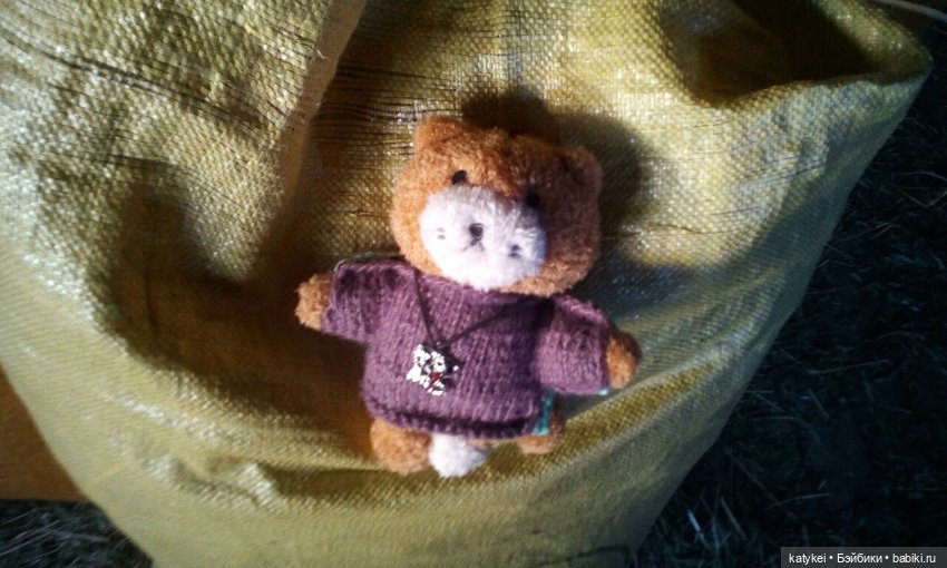 Джи, сено и новая модель свитера (опрос)