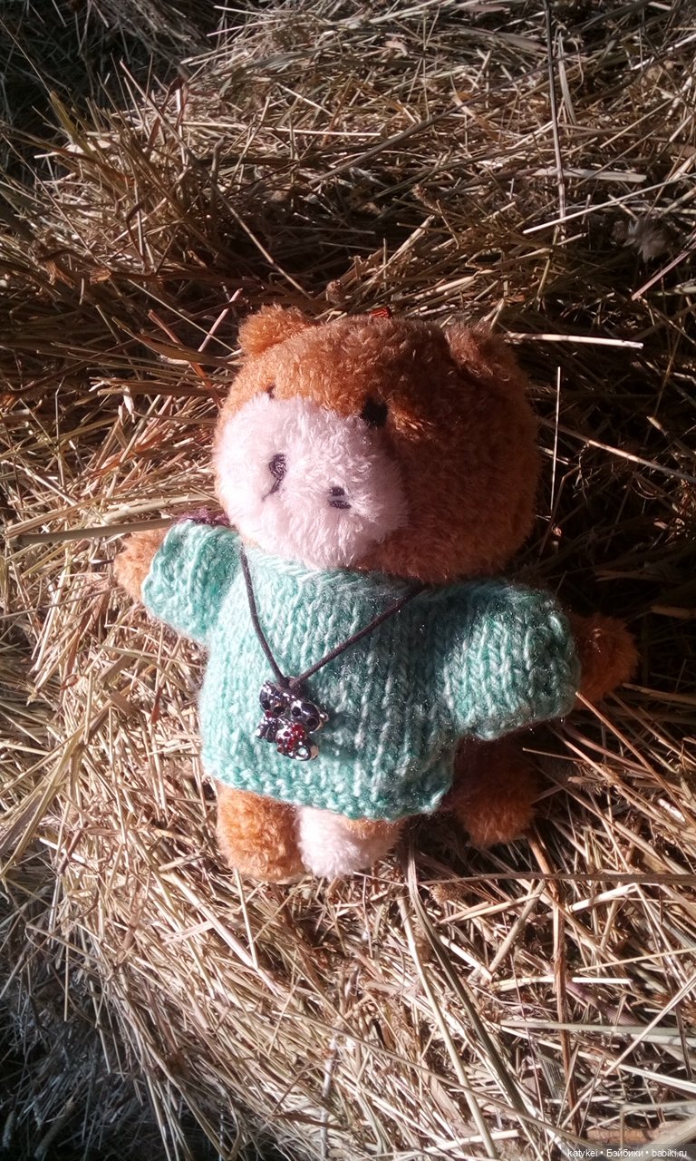 Джи, сено и новая модель свитера (опрос)