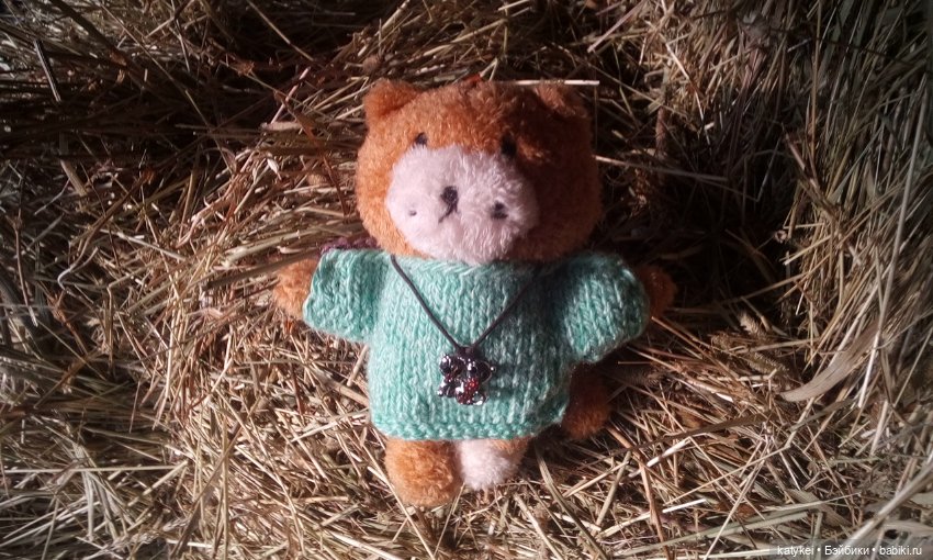 Джи, сено и новая модель свитера (опрос)