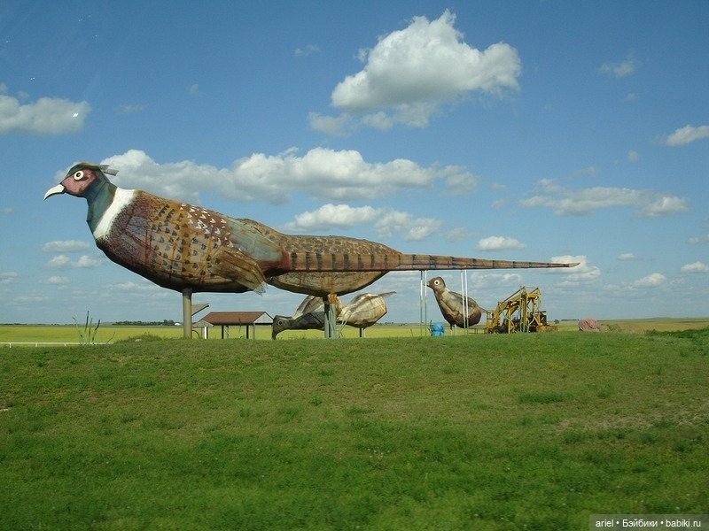 Творения Гэри Греффа (Gary Greff)