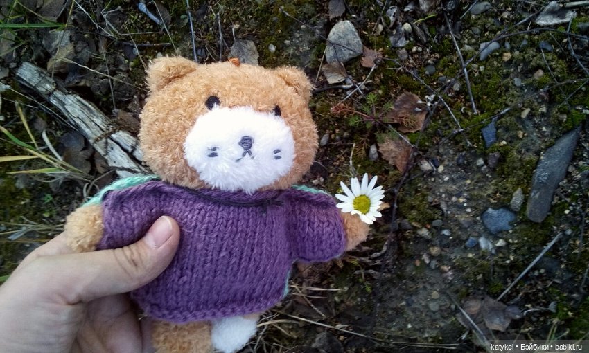 Джи, сено и новая модель свитера (опрос)