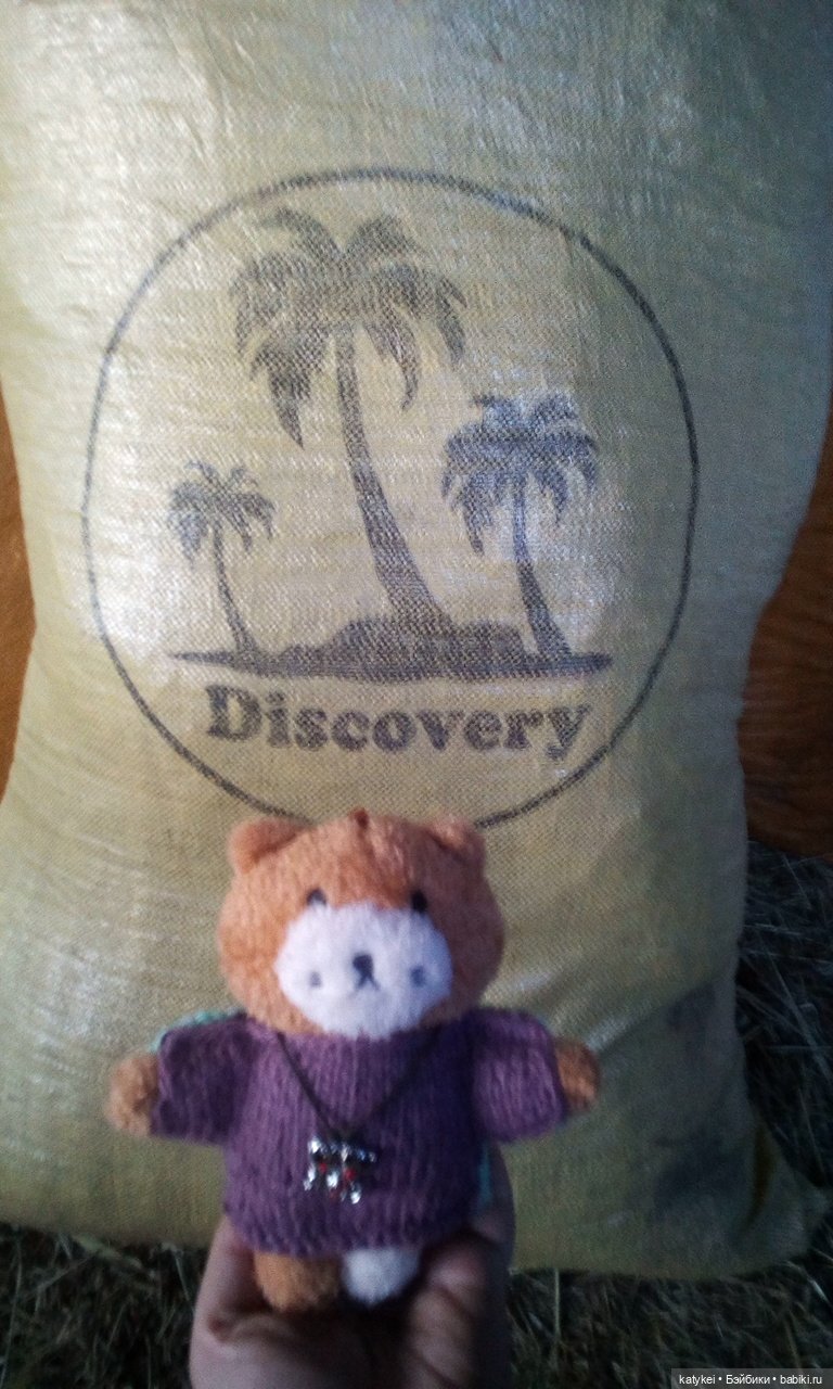 Джи, сено и новая модель свитера (опрос)