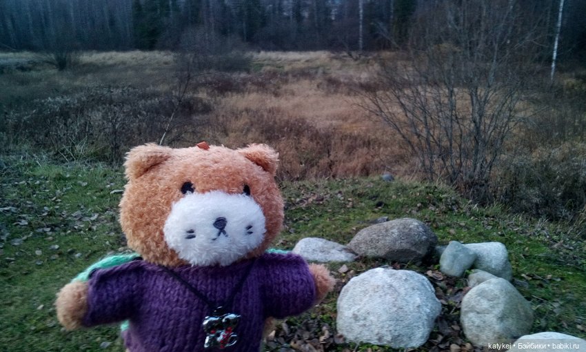 Джи, сено и новая модель свитера (опрос) (фото 7)