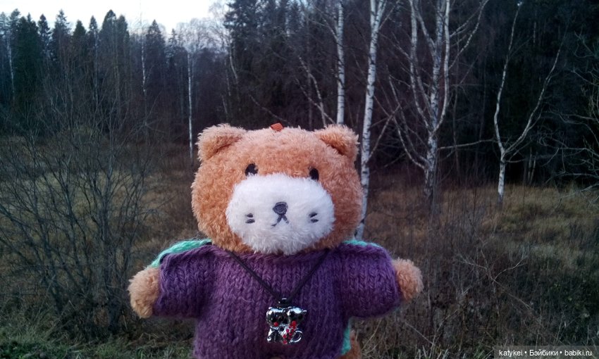 Джи, сено и новая модель свитера (опрос) (фото 6)