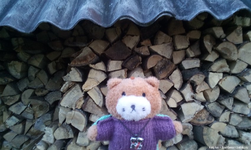 Джи, сено и новая модель свитера (опрос) (фото 5)