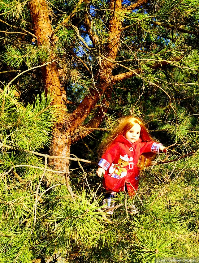 Прогулка в сосновом лесу — Болталка и разговоры обо всем: жизнь (фото 9)