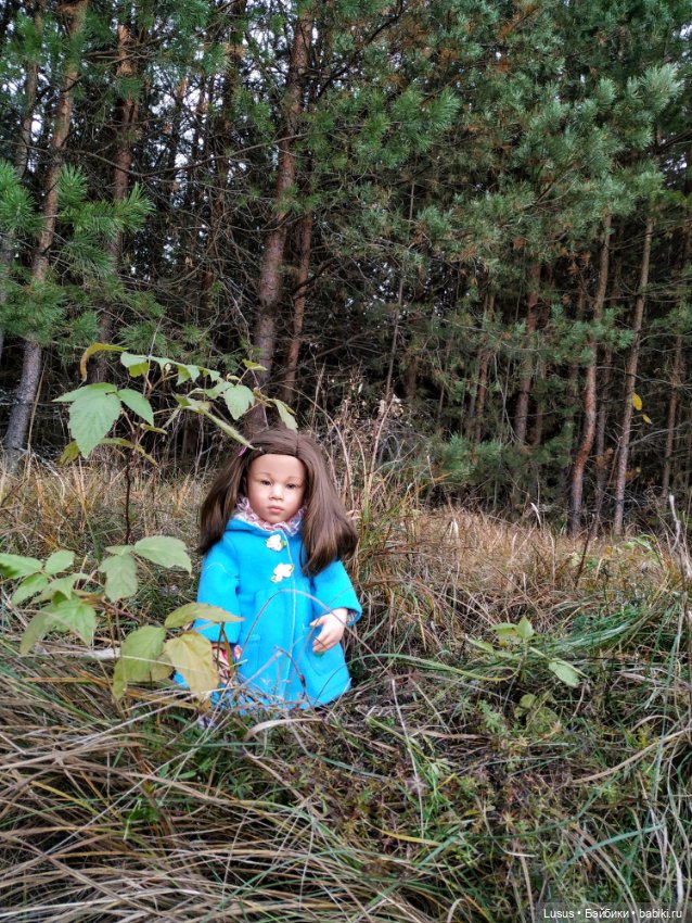 Прогулка в сосновом лесу — Болталка и разговоры обо всем: жизнь