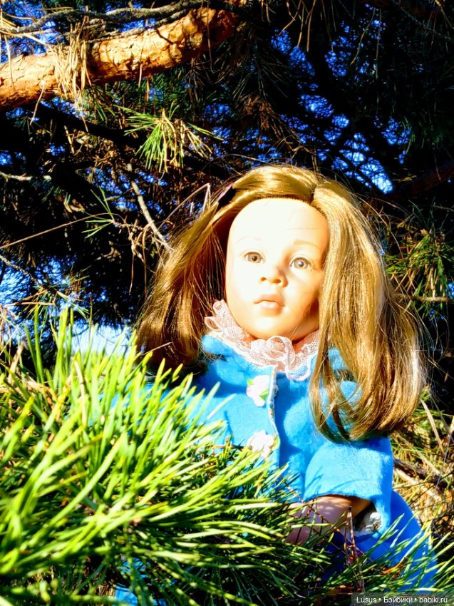 Прогулка в сосновом лесу — Болталка и разговоры обо всем: жизнь