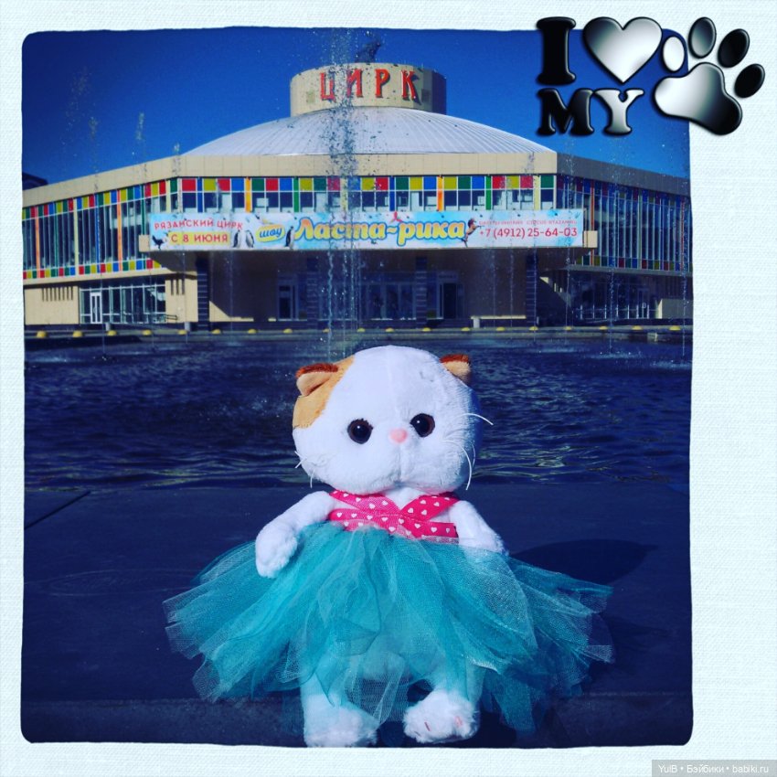 ...Семейство Котейкиных — Кот Басик