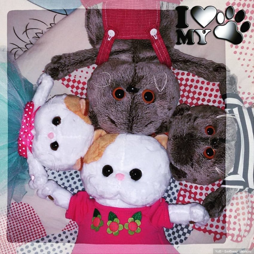 ...Семейство Котейкиных — Кот Басик (фото 9)