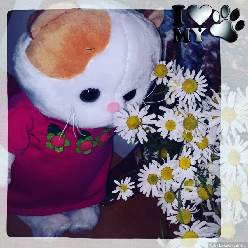 ...Семейство Котейкиных — Кот Басик