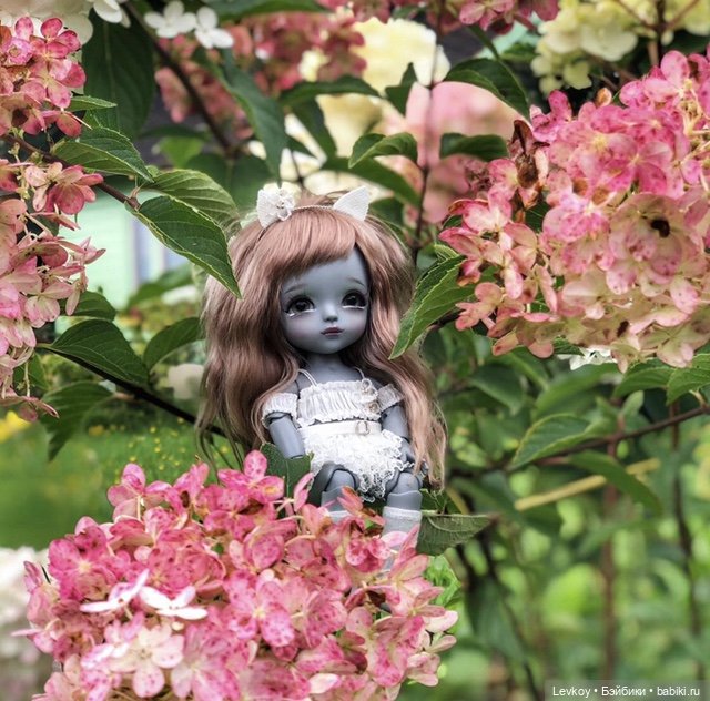 Молодая Луна — Куклы Latidoll (Лати): BJD (БЖД)