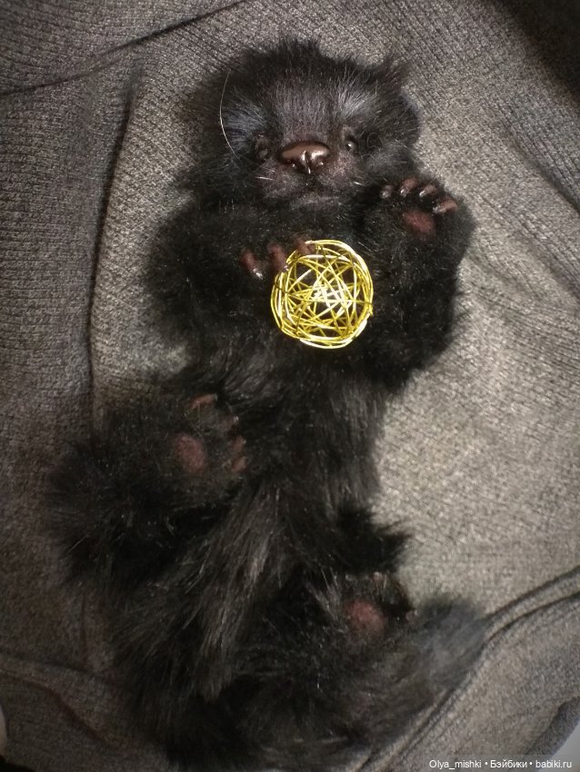 А потом мы принесли его домой