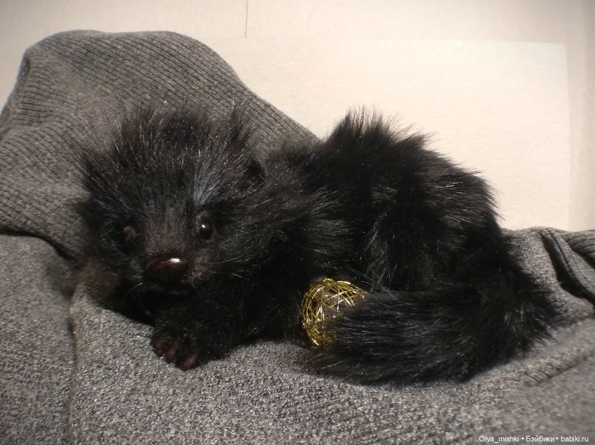 А потом мы принесли его домой (фото 9)