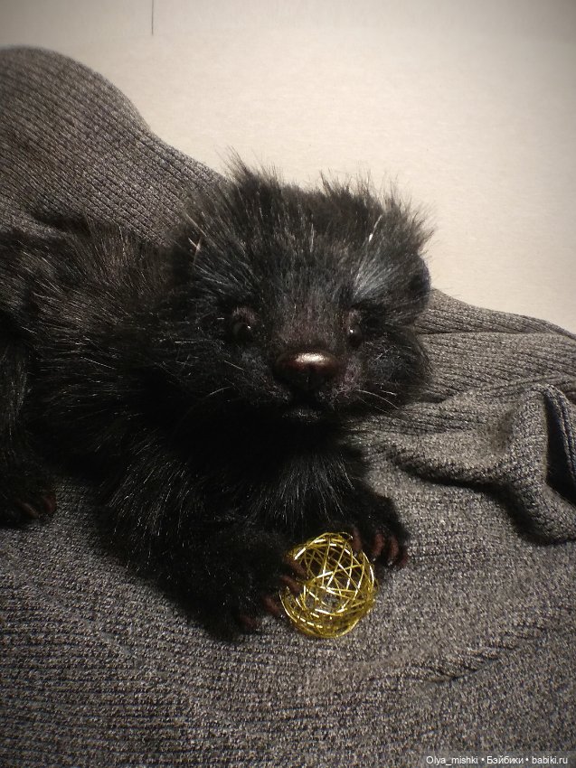 А потом мы принесли его домой (фото 7)