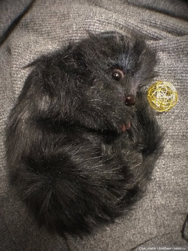 А потом мы принесли его домой