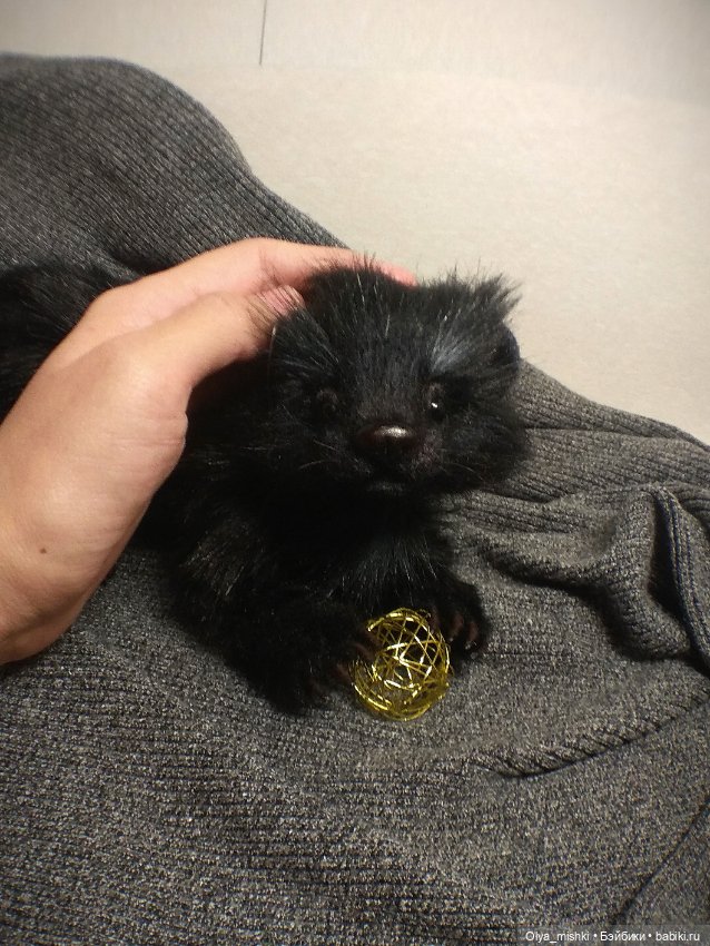 А потом мы принесли его домой (фото 4)