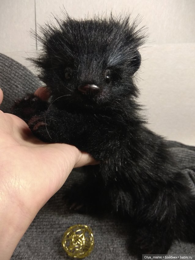 А потом мы принесли его домой (фото 5)