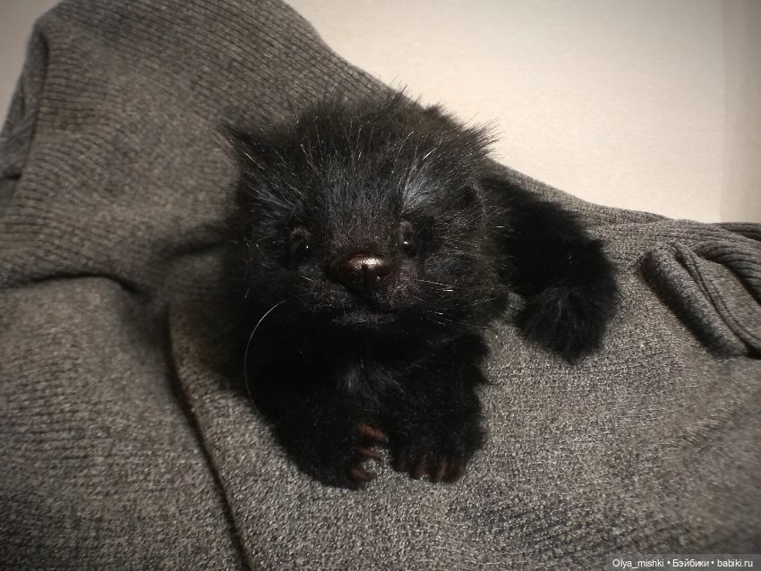 А потом мы принесли его домой (фото 10)