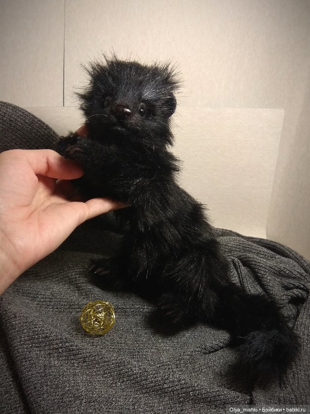 А потом мы принесли его домой (фото 3)