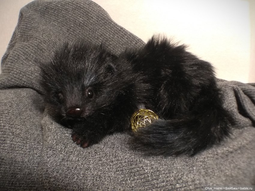 А потом мы принесли его домой (фото 8)