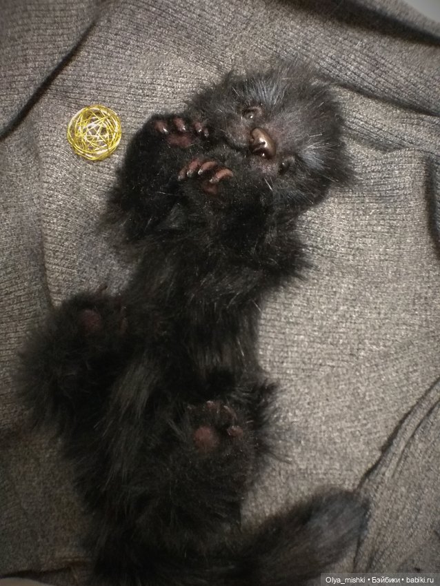 А потом мы принесли его домой