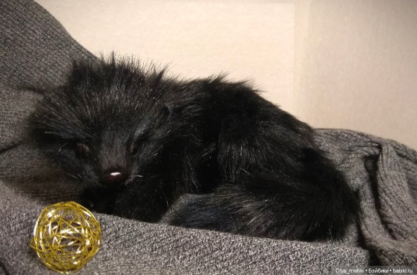 А потом мы принесли его домой (фото 6)