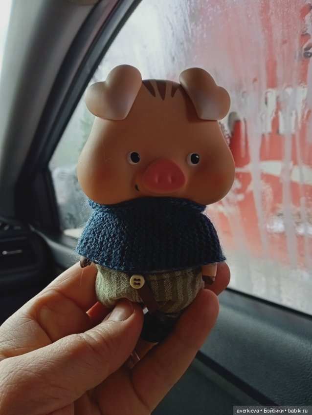 Проша, неугомонный поросенок (фото 2)