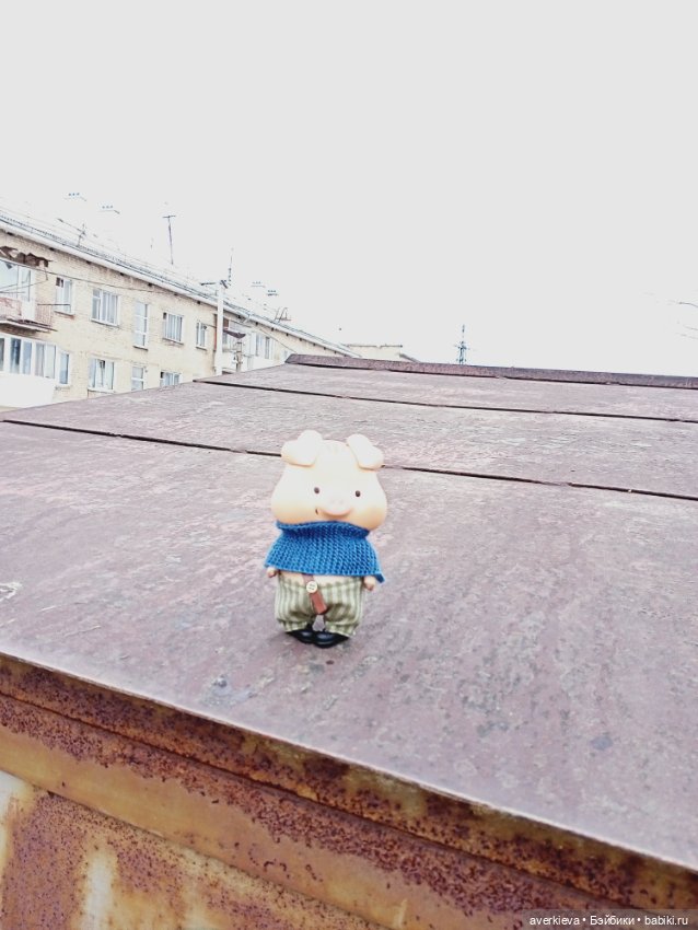 Проша, неугомонный поросенок