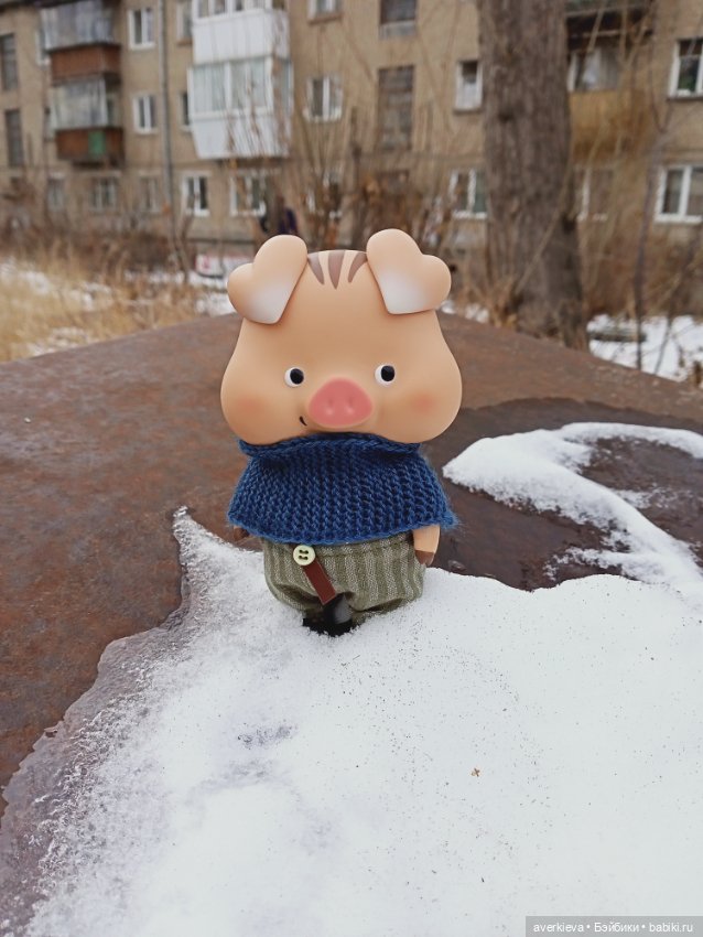 Проша, неугомонный поросенок (фото 9)