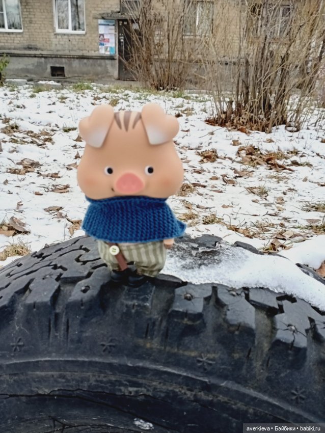 Проша, неугомонный поросенок