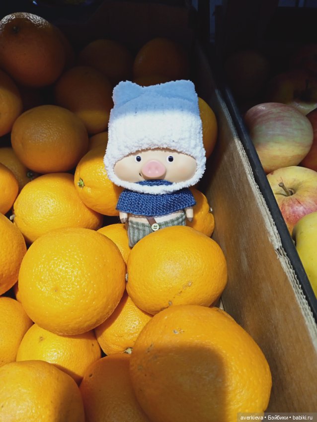 Проша, неугомонный поросенок (фото 6)